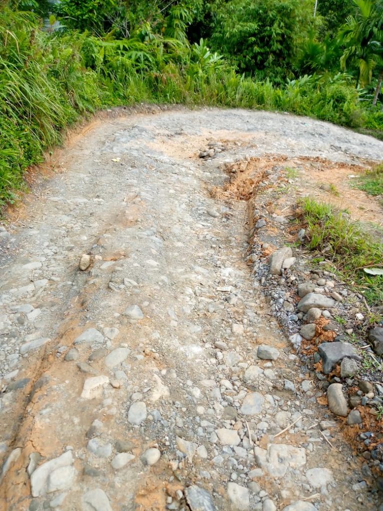 IMG-20250323-WA0060