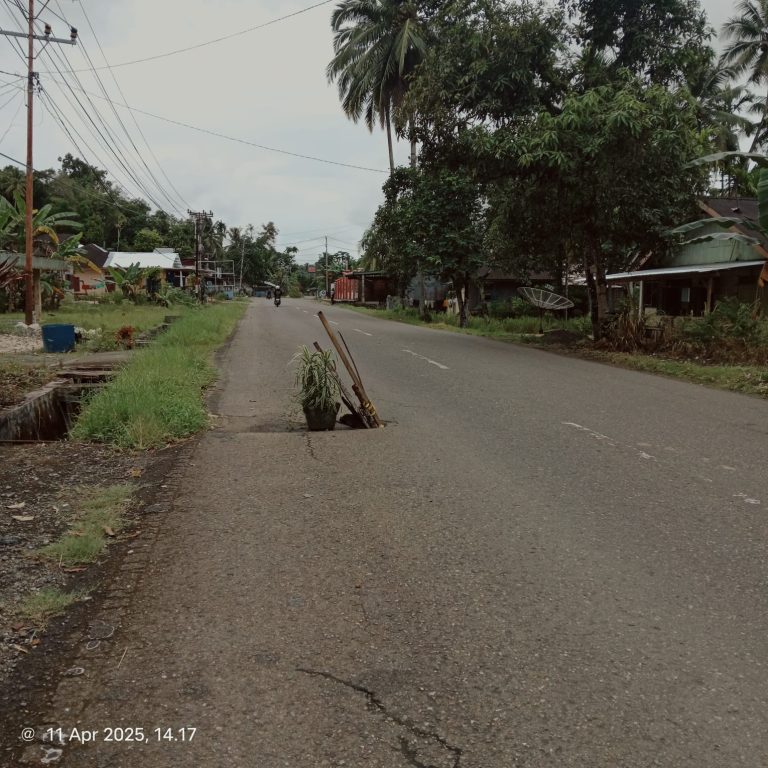 IMG-20250412-WA0017