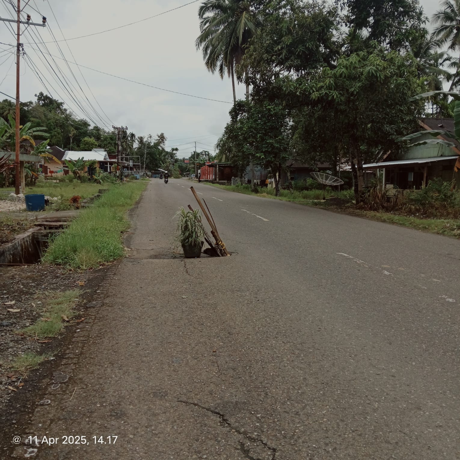 IMG-20250412-WA0017