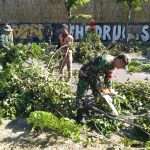 IMG-20250712-WA0031