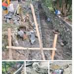 IMG-20250712-WA0102