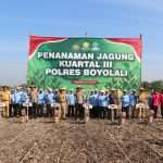 IMG-20250722-WA0029