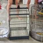 IMG-20250730-WA0004