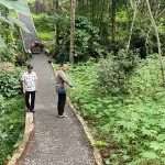 IMG-20250730-WA0011