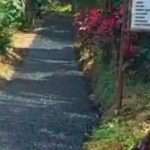 IMG-20250824-WA0008