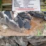 IMG-20250910-WA0017